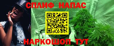 стафф Гусев