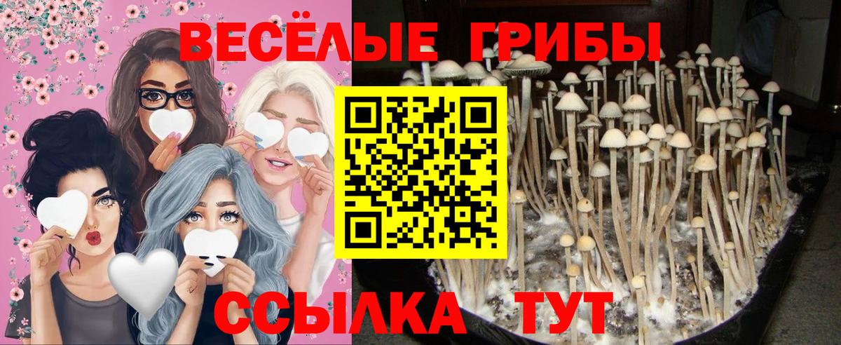 Галлюциногенные грибы ЛСД Качканар