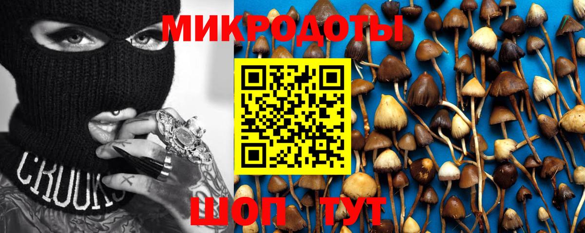Галлюциногенные грибы ЛСД  Вход с VPN  Качканар 